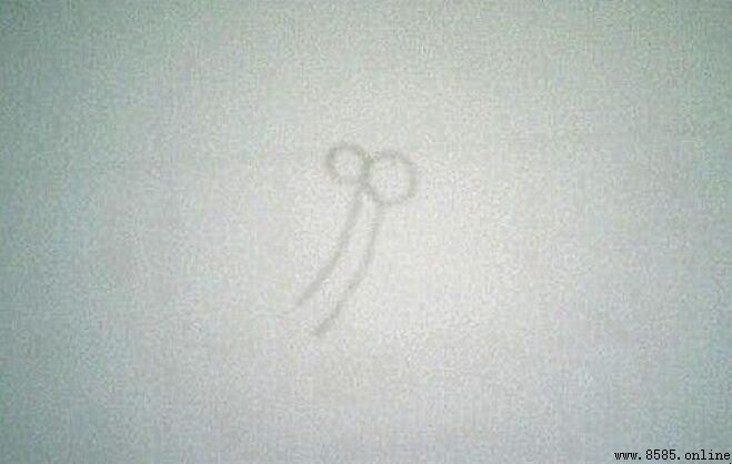 茶花简笔画教程：9步轻松绘制