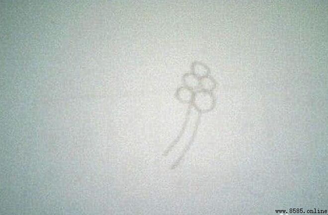 茶花简笔画教程：9步轻松绘制