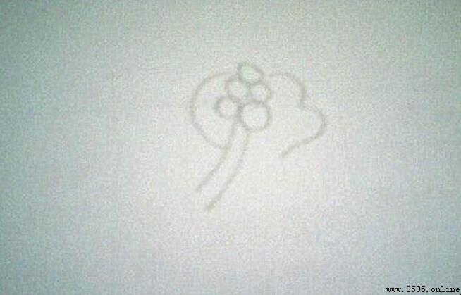 茶花简笔画教程：9步轻松绘制