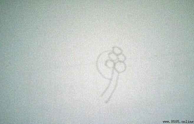 茶花简笔画教程：9步轻松绘制