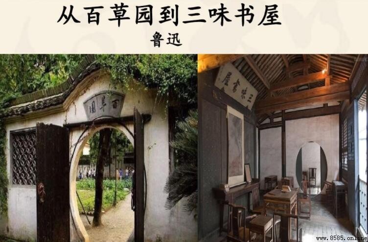 《从百草园到三味书屋》读后感写作指南