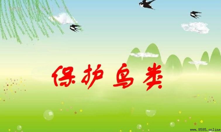 保護鳥類宣傳語集錦