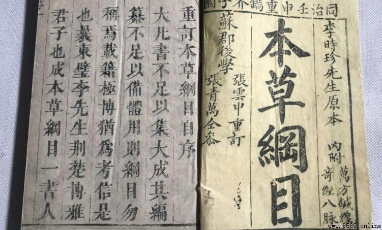 《本草綱目》的主要成就