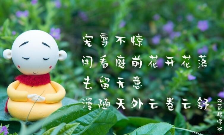 寵辱不驚 閒看庭前花開花落 下一句是什麼