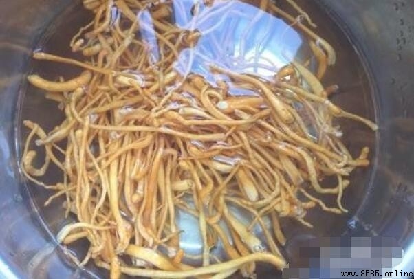 虫草花炒肉的步骤