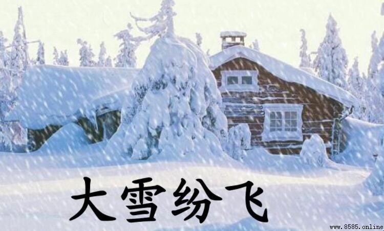 描寫大雪紛飛的句子集錦：10句精美例句與意境解析