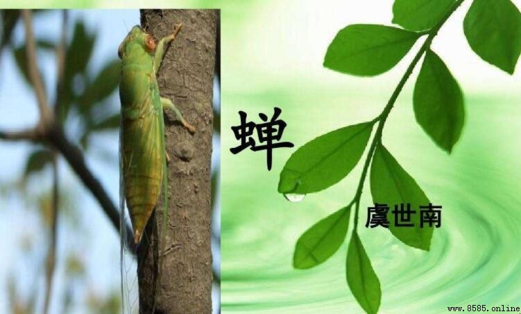古詩《蟬》體裁解析:五言古詩的典範之作