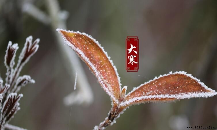 大寒節氣的含義與文化