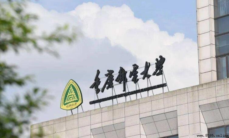 重慶郵電大學是否為一本院校？全面解析
