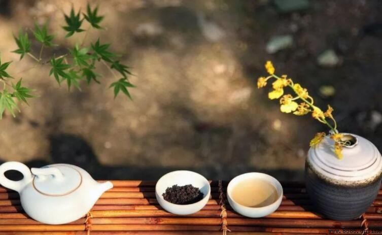 茶語人生：經典句子分享