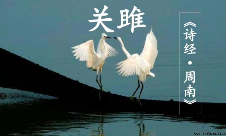《關雎》的主題思想解析