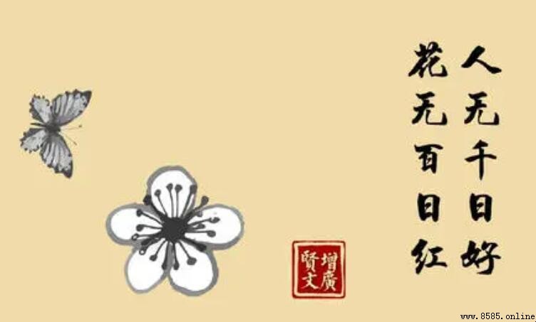 人無千日好花無百日紅的含義與出處