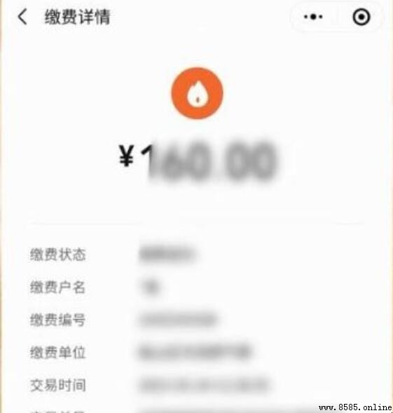 手把手教您查詢燃氣費用明細