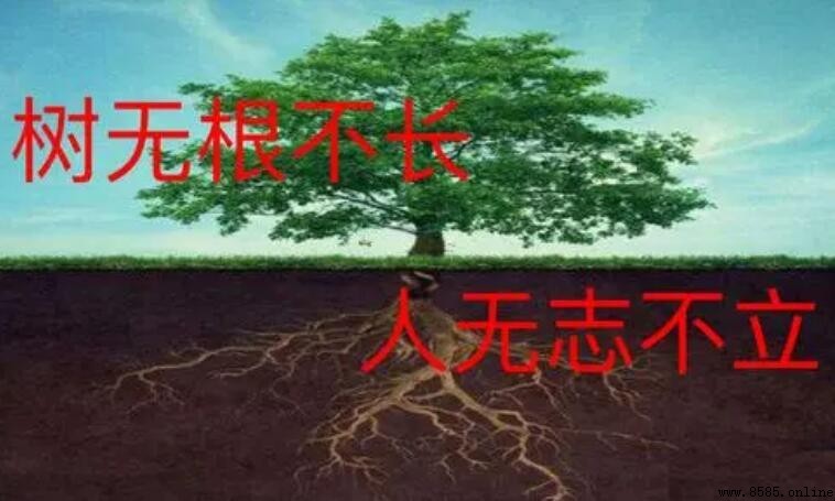 人無志不立的真正含義與重要性