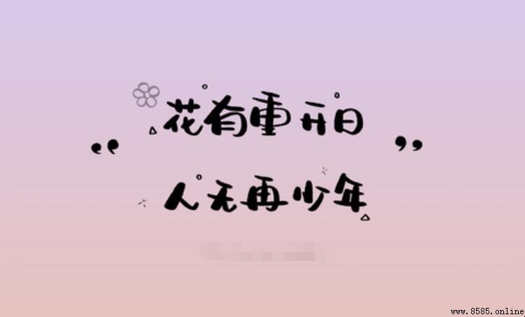 人無再少年的經典句子有哪些