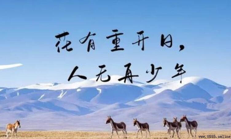 人無再少年的上一句是什麼