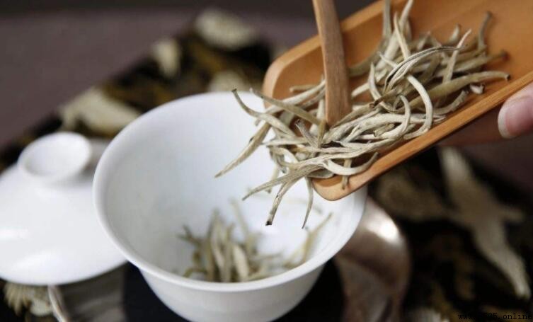 白茶屬於綠茶嗎？解析白茶的分類與特點