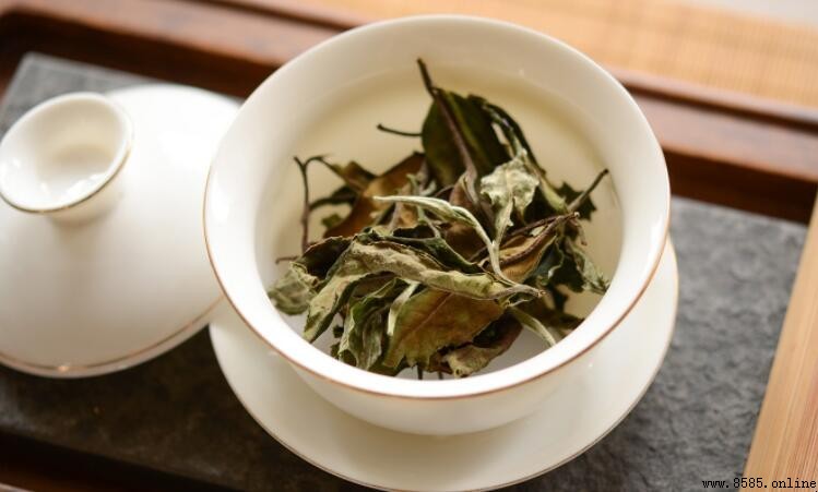 白茶屬於紅茶還是綠茶?揭開六大茶類中的獨特存在