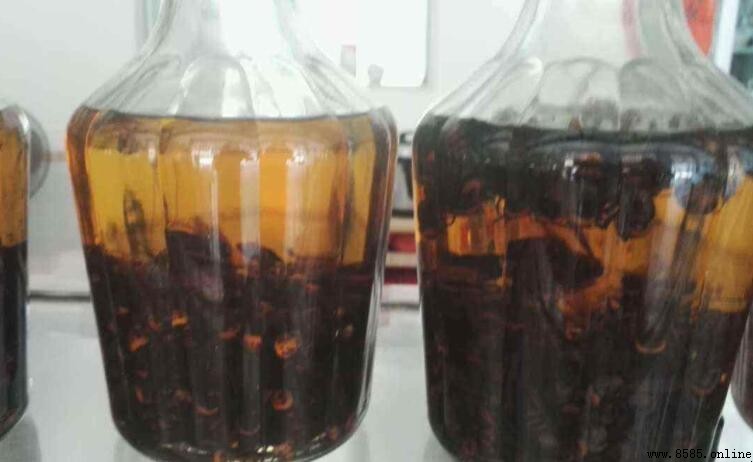 黃蜂泡酒的功效與作用解析
