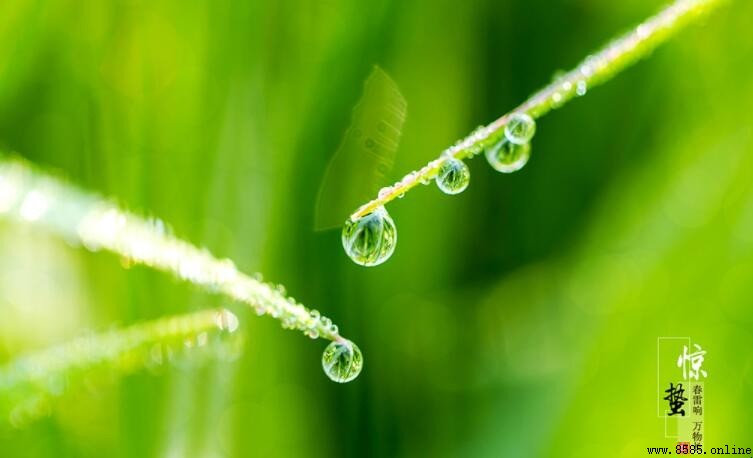春雷响萬物長的含義與節氣解析
