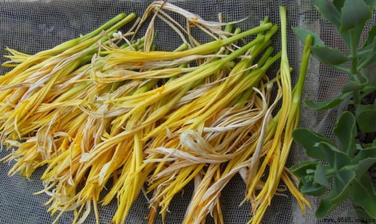 黃花菜不能和什麼一起吃？食物相克與食用注意事項