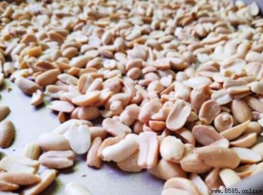 如何製作花生醬：簡易在家做法