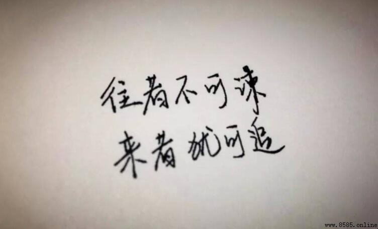 往事不可谏來者猶可追 的意思