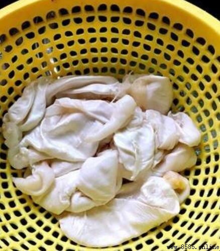 魚鳔怎麼做好吃