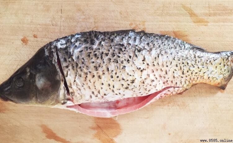 魚膽破了還能吃嗎?處理與食用建議