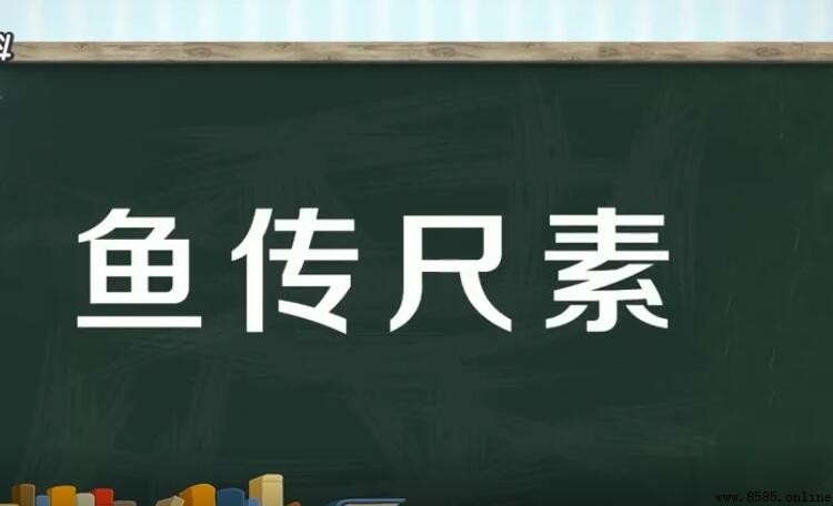 魚傳尺素意思解析
