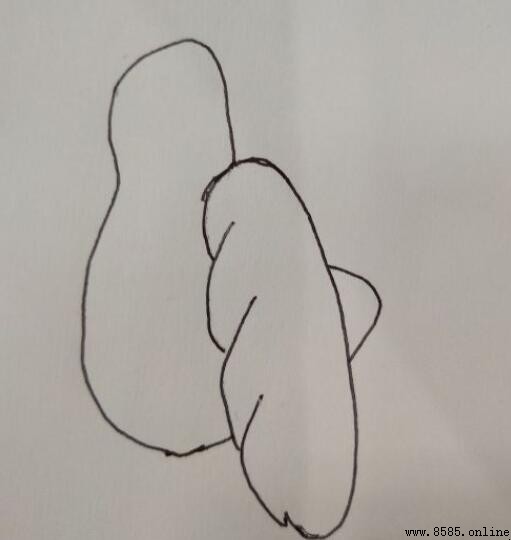 喜鹊简笔画教程：吉祥图案轻松画