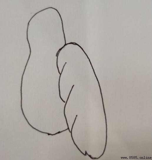 喜鹊简笔画教程：吉祥图案轻松画