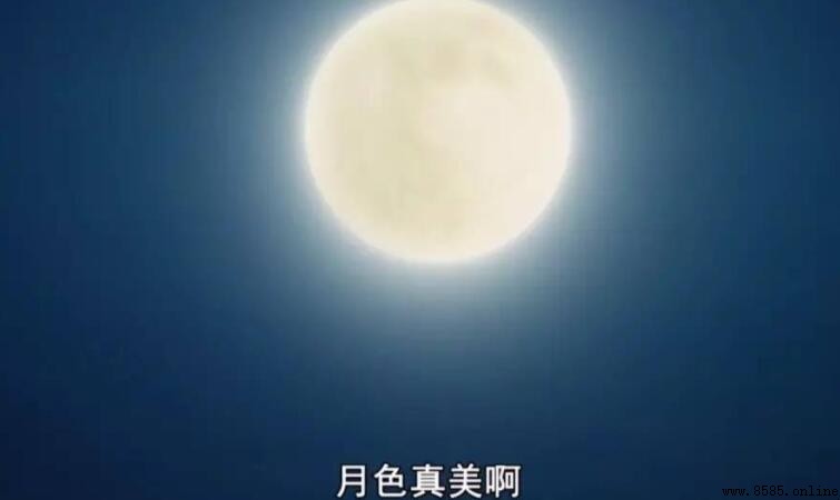 今晚月色真美 下一句是什麼?