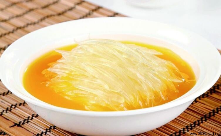魚翅究竟是哪種魚的什麼部位？