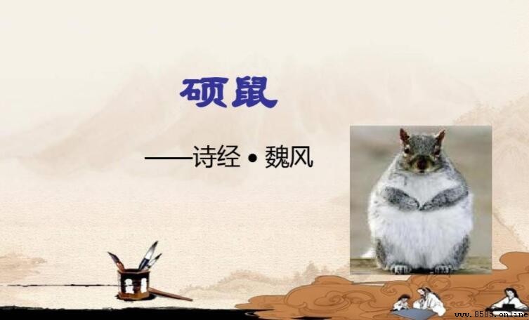 《魏風·碩鼠》原文與譯文