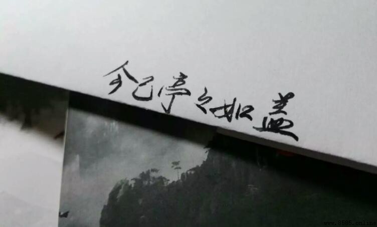 今已亭亭如盖矣的意思