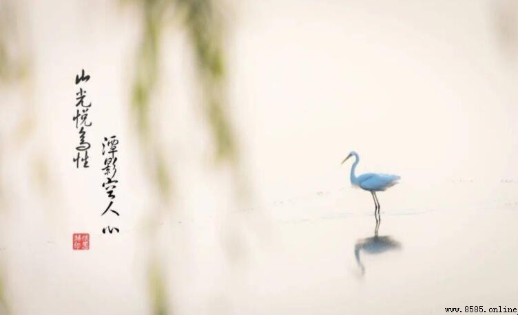 關於時間的詩句集錦：歲月如歌，珍惜當下