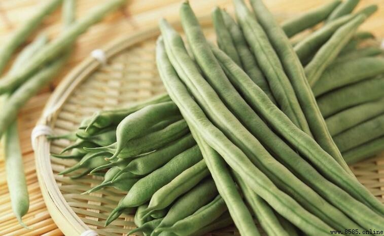 芸豆不熟會中毒嗎?正確食用與安全須知