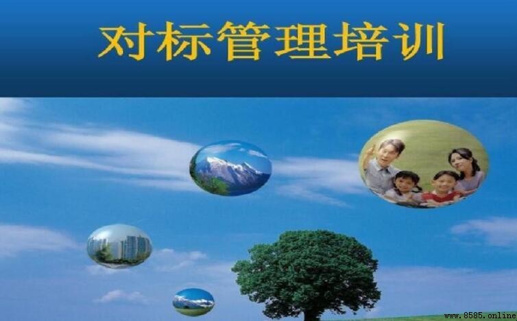 對表對標與對標對表的區別解析