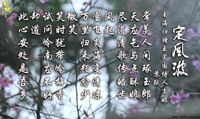 「此心安處是吾鄉」出處解析