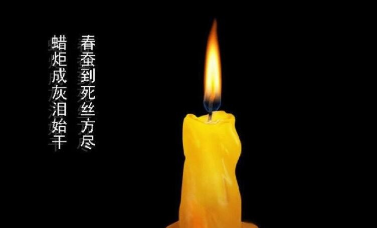 春蠶到死絲方盡蠟炬成灰淚始干《無題》含義解析