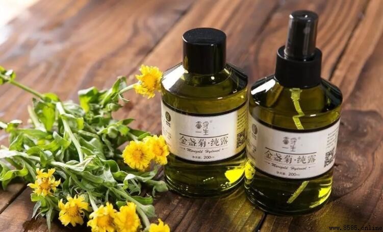 純露能夠替代爽膚水嗎?解析其原理與正確用法