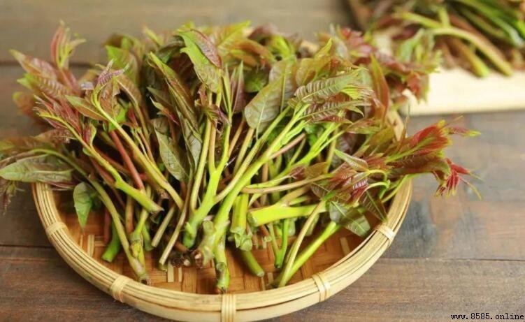 春天必吃的5道時令美食