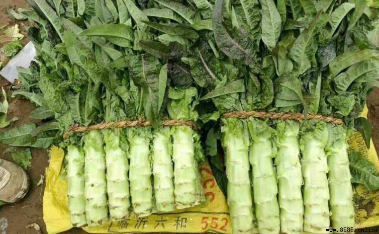 吃莴苣的禁忌