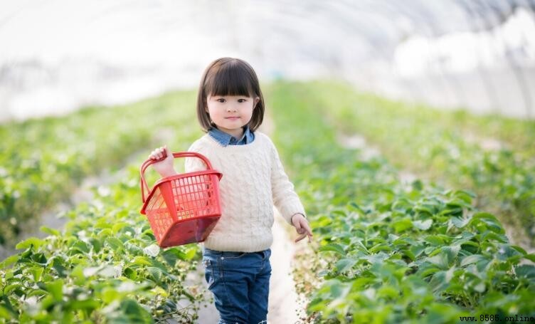 春遊好去處!5 項春季活動推薦