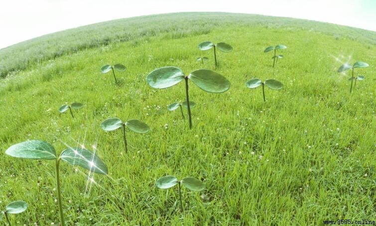 大自然空氣清新的句子集