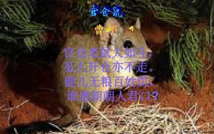 《官倉鼠》的創作背景