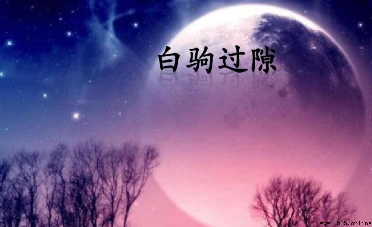 白駒過隙下一句是什麼