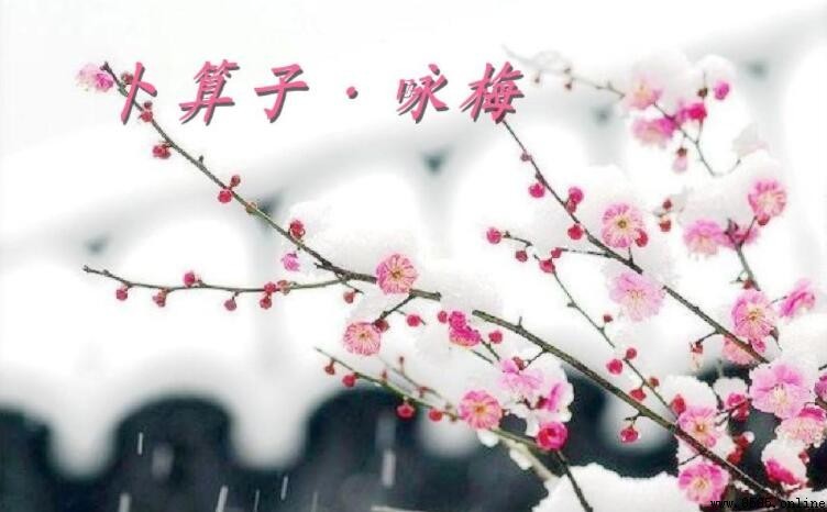 《卜算子·咏梅》的作者是谁