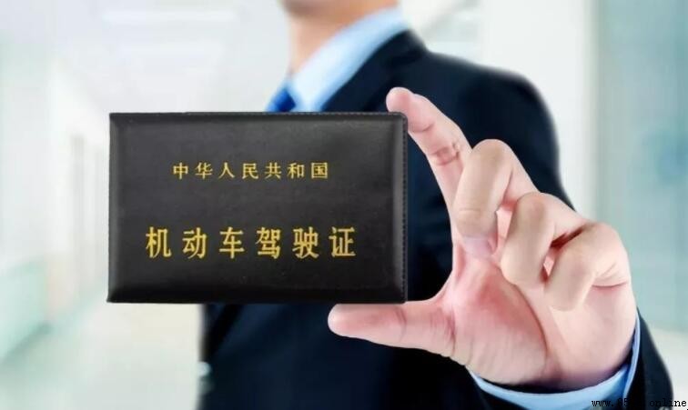 未帶駕照上路的處罰與應對措施